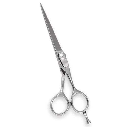 Professional Hair Cutting Scissors